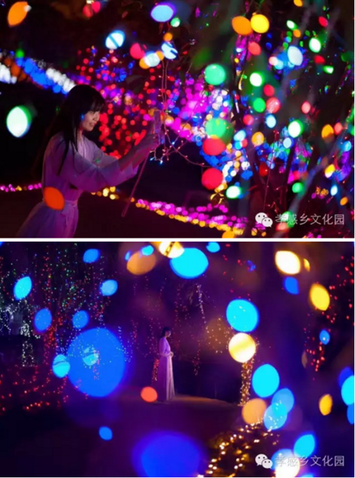 七彩之光點(diǎn)亮麻城 2016夢(mèng)幻燈光節(jié)與你不見不散